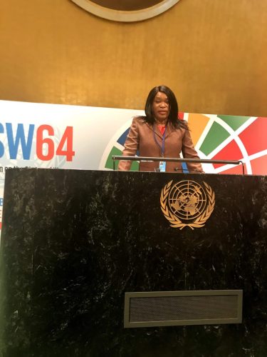 Representing-the-Youth-UN